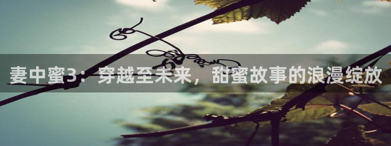 囧次元安卓版下载