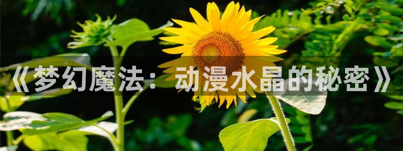 囧次元老版本