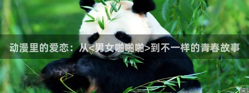 囧次元网站官网下载