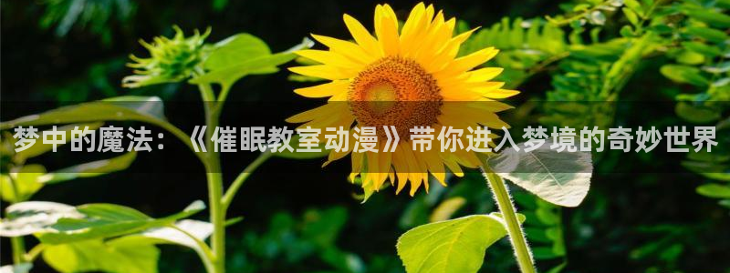 囧次元官方正版app下载：梦中的魔法：《催眠教室动漫》带你进入梦境的奇妙世界