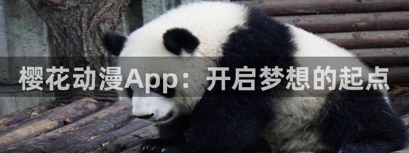 囧次元1：樱花动漫App：开启梦想的起点