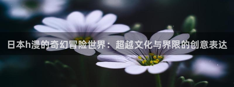 囧次元无广告：日本h漫的奇幻冒险世界：超越文化与界限的创意表达