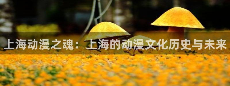 囧次元app官方正版：上海动漫之魂：上海的动漫文化历史与未来