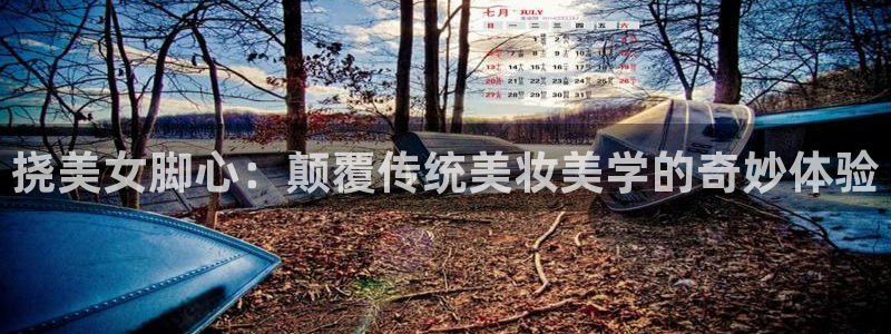 囧次元app入口：挠美女脚心：颠覆传统美妆美学的奇妙体验