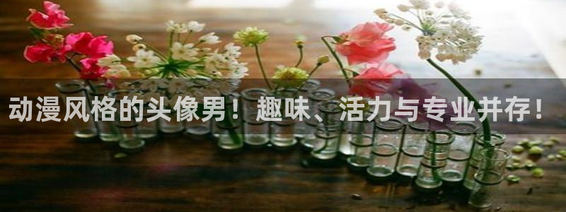 正版囧次元：动漫风格的头像男！趣味、活力与专业并存！